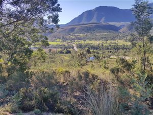74 ha Farm in Riversdale