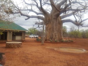 767 ha Farm in Musina