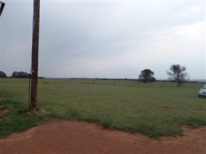 43 ha Farm in Middelburg Central