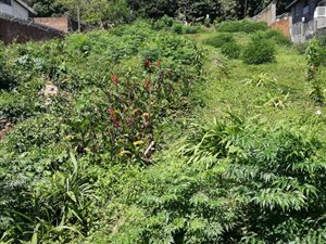 1212 m² Land available in Overport