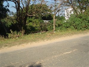 1055 m² Land available in Hibberdene