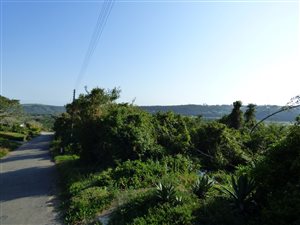 1110 m² Land available in Port Alfred