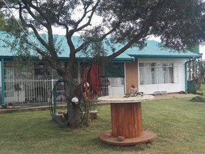 600 ha Farm in Bloemfontein Rural