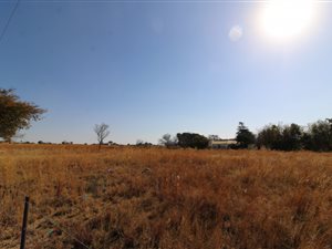 8.6 ha Land available in Knopjeslaagte