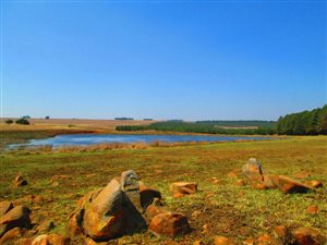 128 ha Farm in Dullstroom