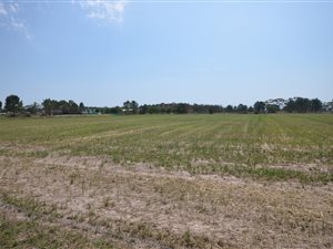 9 ha Farm in Plettenberg Bay