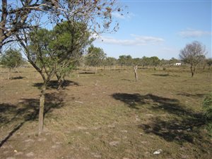 2.9 ha Land available in Greenbushes