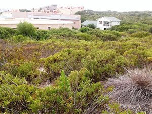 570 m² Land available in Stilbaai