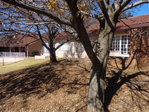 14 ha Farm in Doornkloof