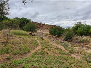 777 m² Farm in Makhado (Louis Trichardt)