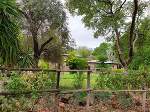 777 ha Farm in Makhado (Louis Trichardt)