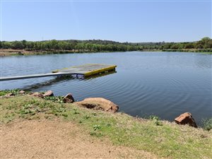 1 ha Land available in Leeuwfontein Estate