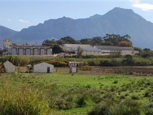 8763 m² Farm in Tulbagh