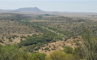 742 ha Farm in Jagersfontein
