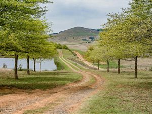 21.9 ha Smallholding in Kamberg