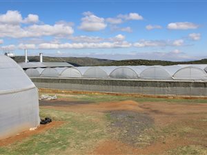 24 ha Farm in Rustenburg Central