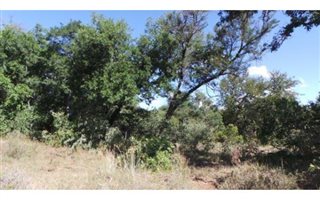 1 ha Land available in Hoedspruit