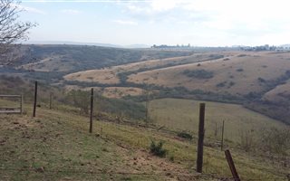 23 ha Farm in Camperdown