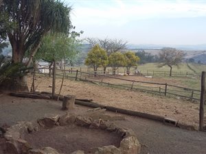 23 ha Farm in Camperdown
