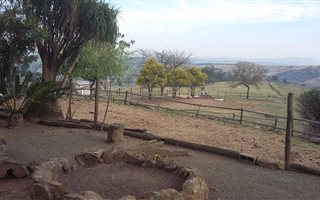 23 ha Farm in Camperdown