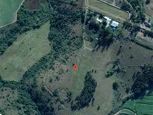 23 ha Farm in Camperdown