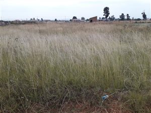 1983 m² Land available in Jameson Park