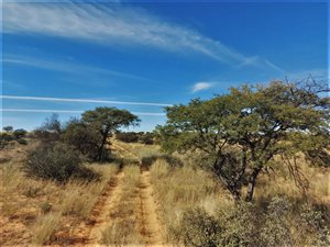 8086 ha Farm in Upington