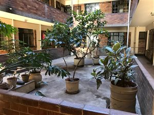 2 Bed Apartment in Yeoville