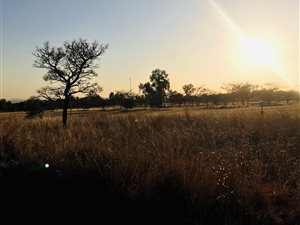 1026 m² Land available in Wigwam