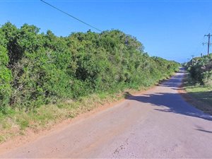 11.5 ha Land available in Theescombe
