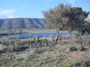 157 ha Farm in Uniondale