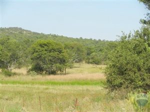 751 ha Farm in Alma