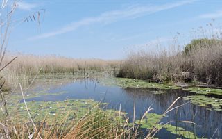 124.6 ha Farm in Zeerust