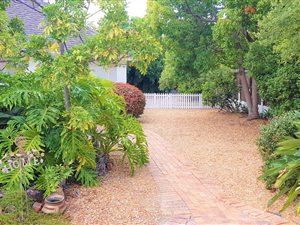 3 Bed House in Bergvliet