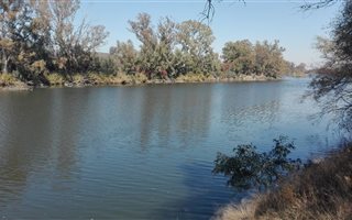 5 ha Farm in Parys