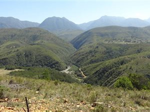 4000 ha Farm in Plettenberg Bay Rural