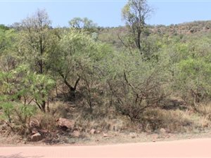 1000 m² Land available in Presidentsrus
