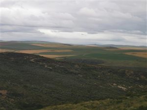 449 ha Farm in Bredasdorp
