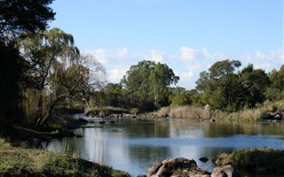 35 ha Farm in Parys