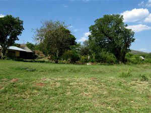 82 ha Farm in Alma