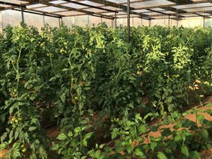 233 ha Farm in Rustenburg Central