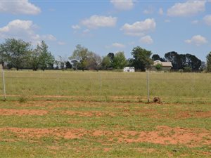 4.3 ha Land available in Bloemspruit
