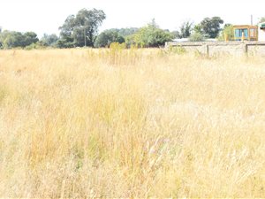 1213 m² Land available in Kookrus