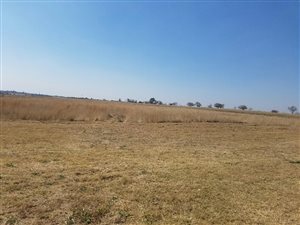 87 ha Land available in Noordwyk