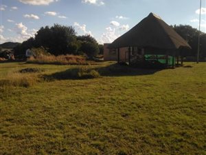 16 ha Farm in Parys