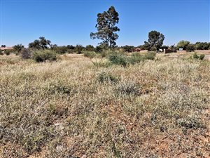 7500 m² Land available in Meiringspark