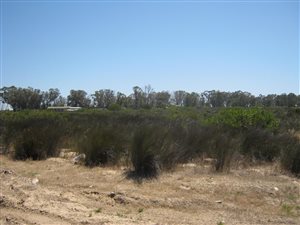 3.1 ha Farm in Hopefield