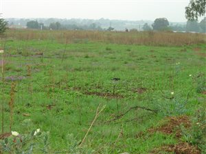 683 m² Land available in Risiville