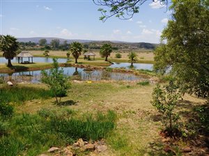 4 ha Farm in Zeerust