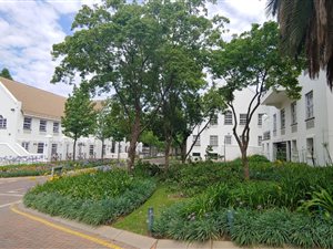 292 m² Commercial space in Rosebank